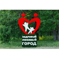 Топиари стелла любимый город - газон Eco + Deluxe
