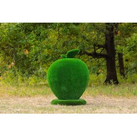 Топиари яблоко - газон Eco