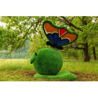 Топиари бабочка на яблоке Синап - газон Eco Green
