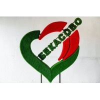 Топиари стелла Сердце - газон Eco+