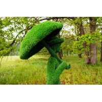 Топиари дама с зонтом Глория - газон Eco Green