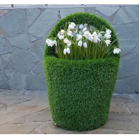 Топиари корзина - газон Eco